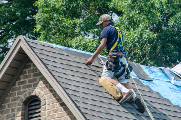Best Local Roofing Companies  in Signal Mountain, TN
